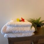 Spacious villa in Anjuna with modern amenities