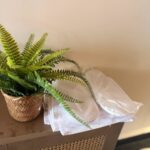 Stay near Anjuna Beach Goa at affordable price